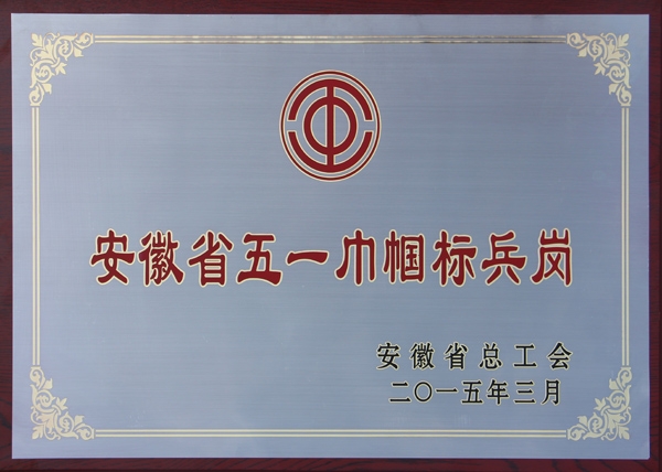 2015安徽省五一巾帼标兵岗