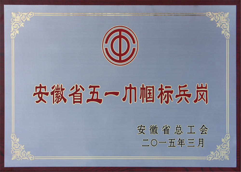 2015青年医护班荣获安徽省“五一巾帼标兵岗”称号