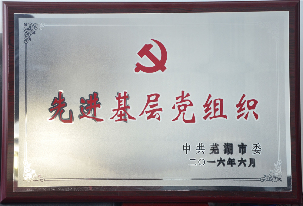 2016先进基层党组织