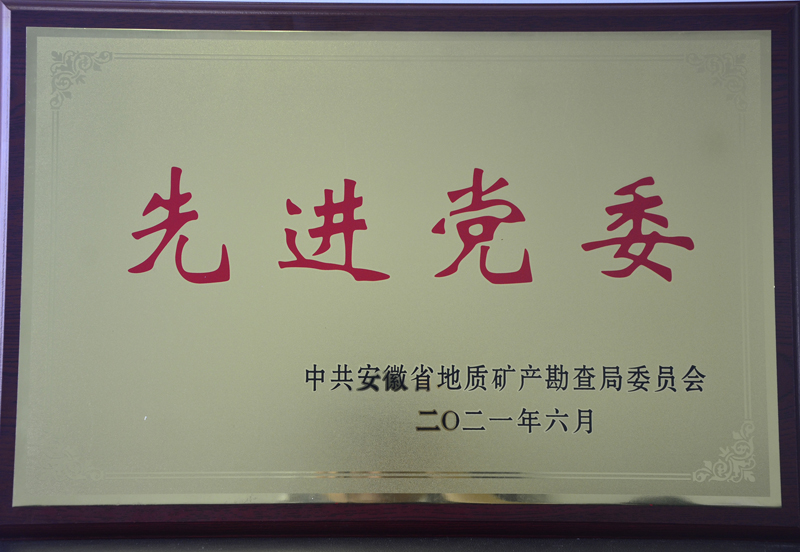 2021安徽省地矿局先进党委
