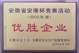 2004优胜企业