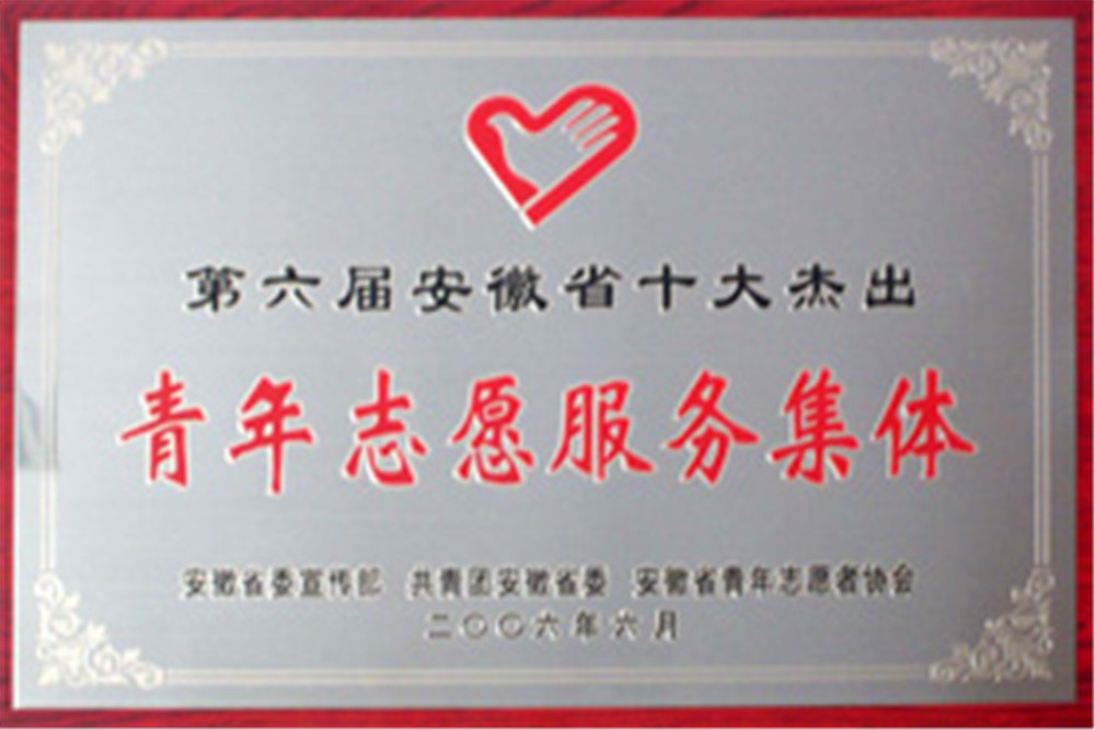 2006十大杰出青年志愿服务集体