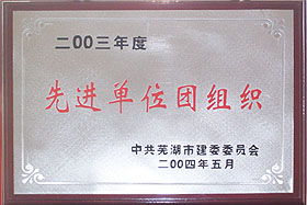 2003先进单位团组织