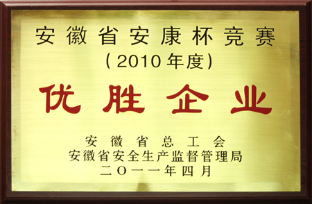 2011优胜企业