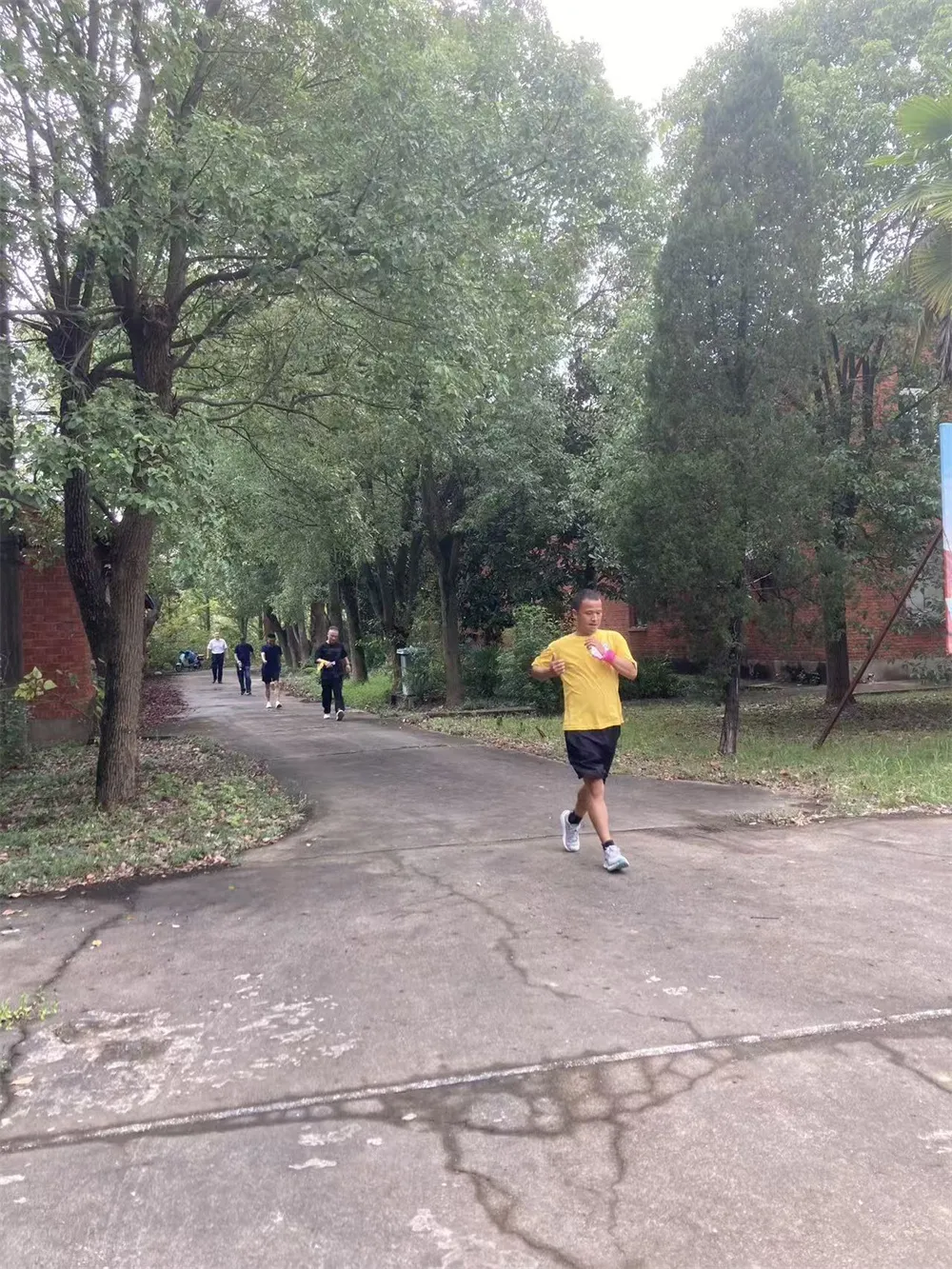 迎国庆 庆佳节 迎国庆 庆佳节