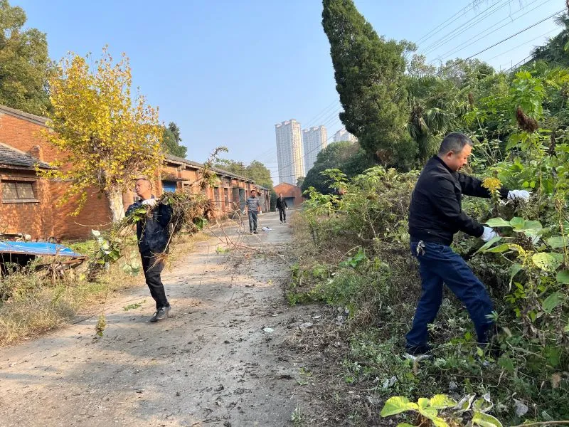 机械厂党支部开展“清除外来物种，守护生态安全”主题党日活动