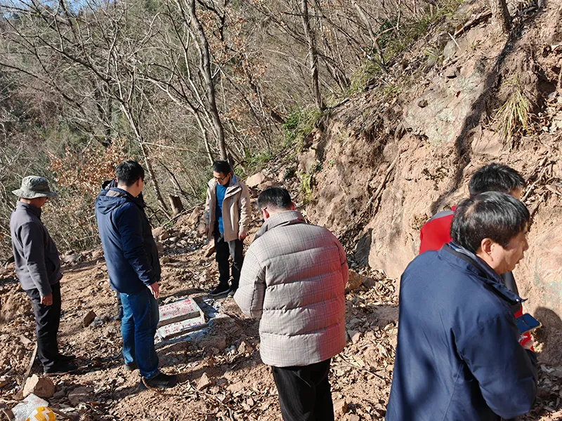 总院承担的安徽省战略性矿产找矿行动专项攻关工程地勘基金项目顺利通过中期检查