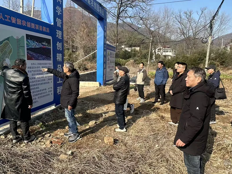 方案评审获通过　生态整治助农创